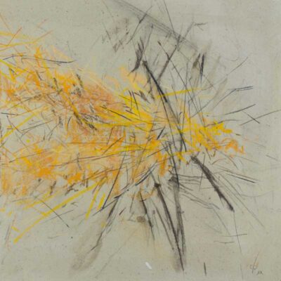 clemens c franke, golden force